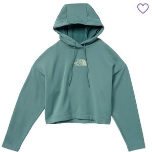 ⭐️NEW⭐️ THE NORTH FACE Horizon Performance Logo Hoodie Size Medium